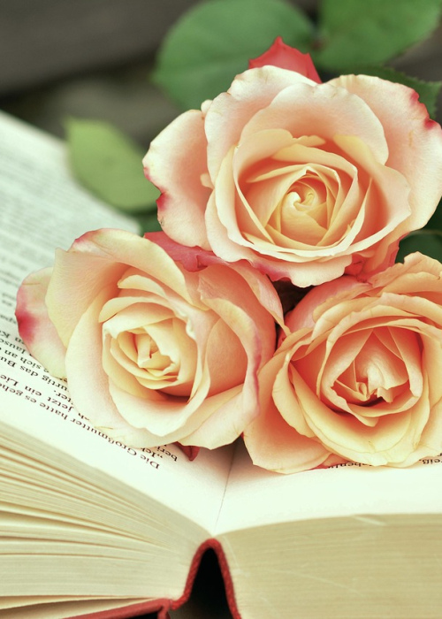 Blind Date with a Book Packages